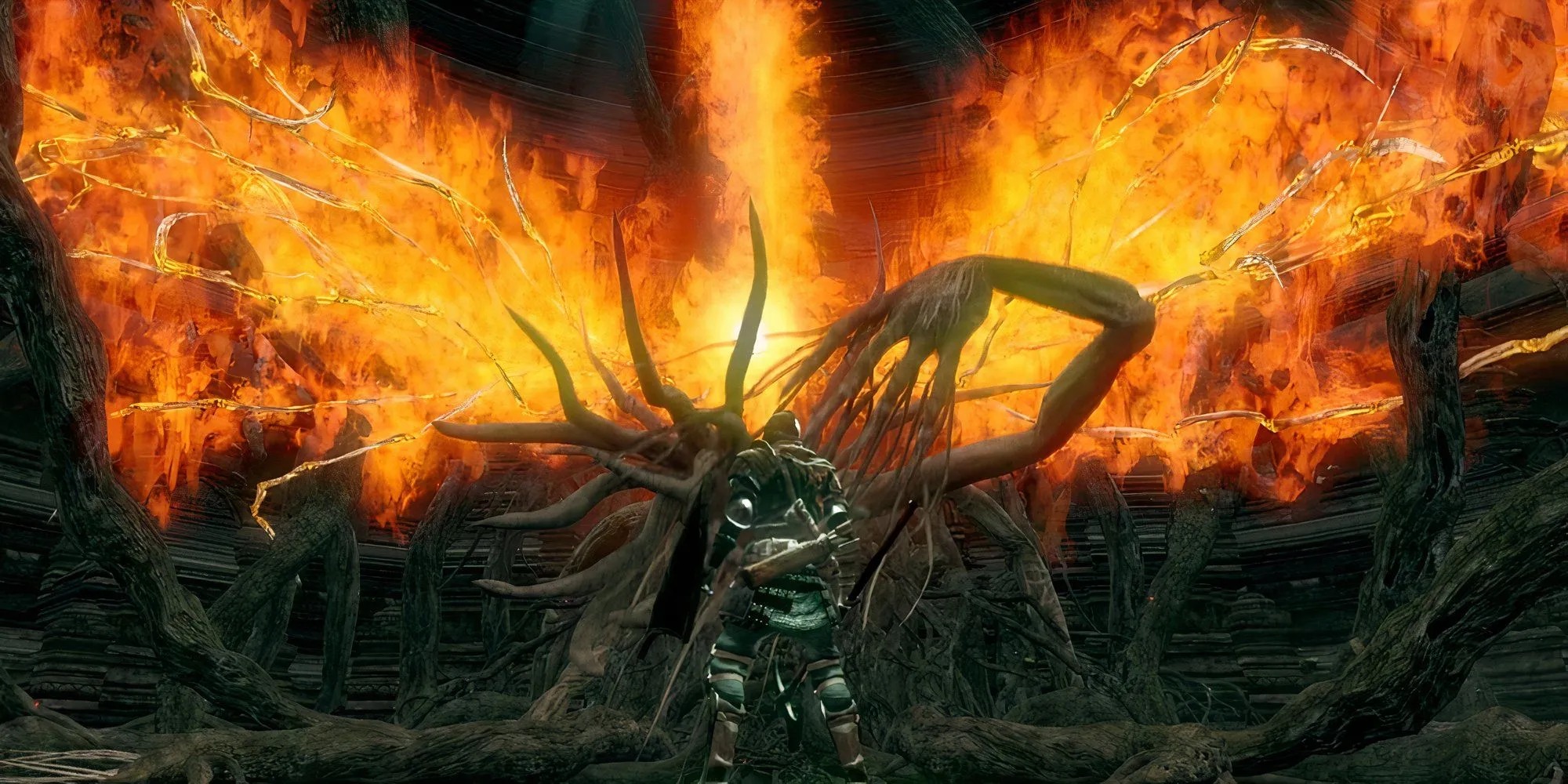 Giường Hỗn Loạn (Bed of Chaos) trong Dark Souls 1, boss tệ nhất series Soulsborne với địa hình hiểm trở