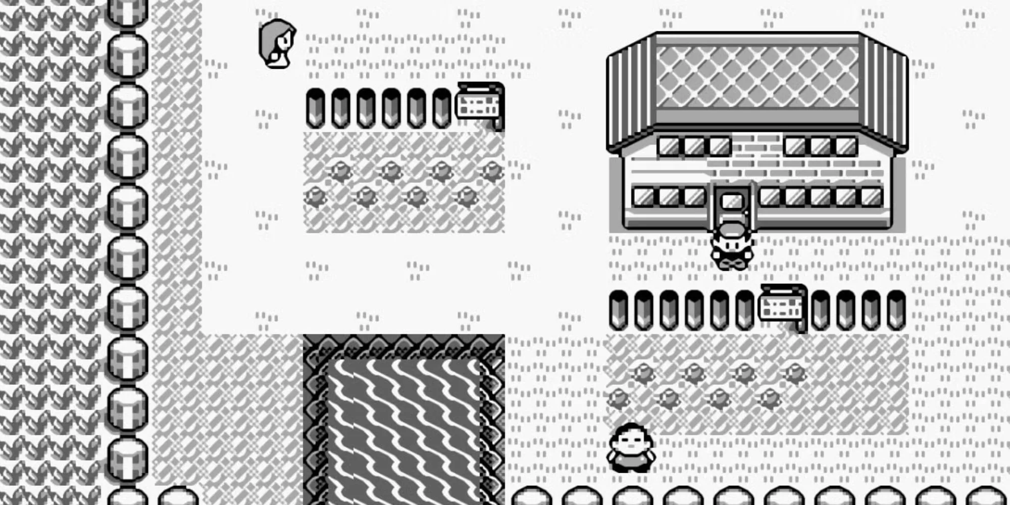 Thị trấn trong game Pokemon Red và Blue thời kỳ đầu