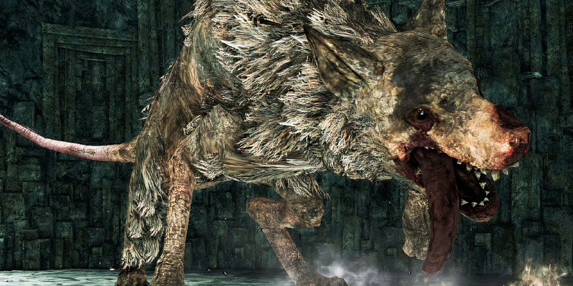 Thủ Lĩnh Chuột Hoàng Gia (Royal Rat Authority) trong Dark Souls 2, boss với chuột phụ và góc camera tệ