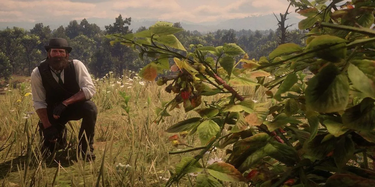 Arthur Morgan đang cúi người gần hoa và cây quả trong Red Dead Redemption 2, minh họa điển hình cho nhiệm vụ sưu tầm vật phẩm.