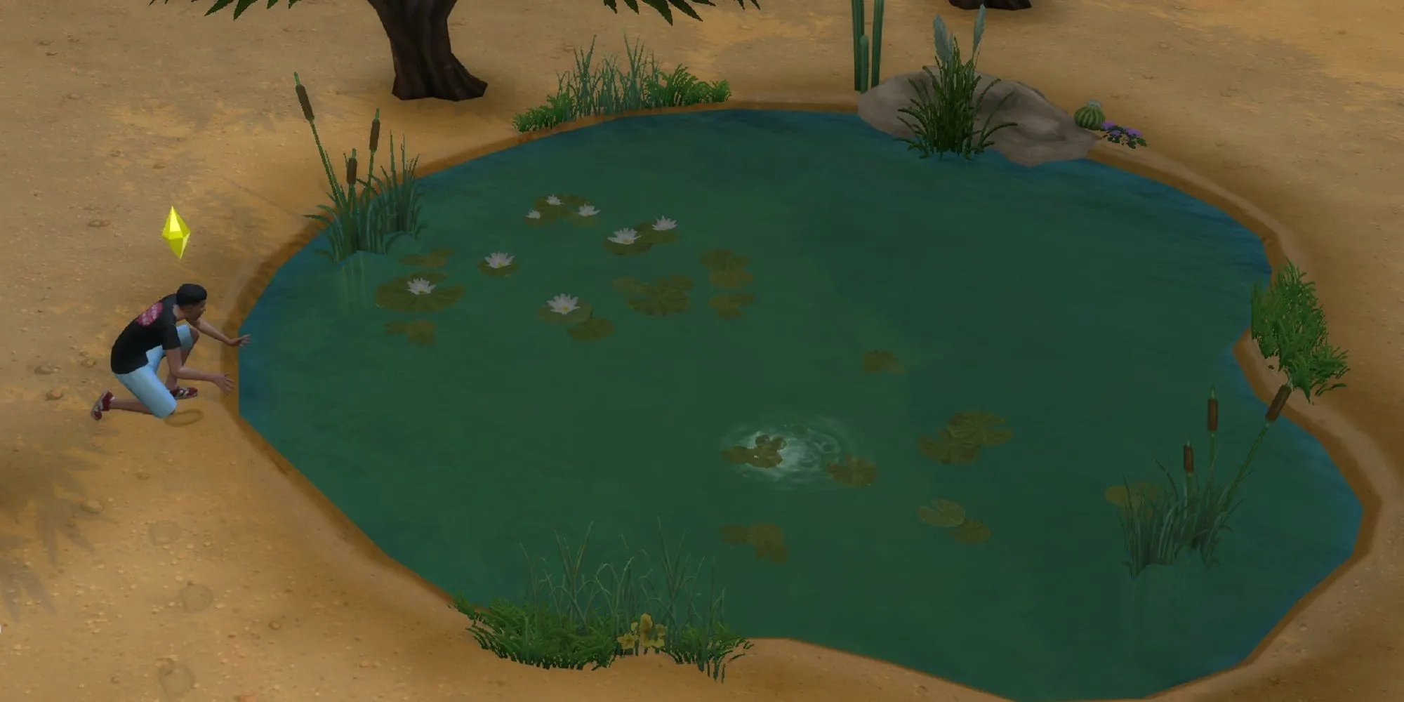 Sims đang bắt ếch trong công viên Desert Bloom Park ở The Sims 4