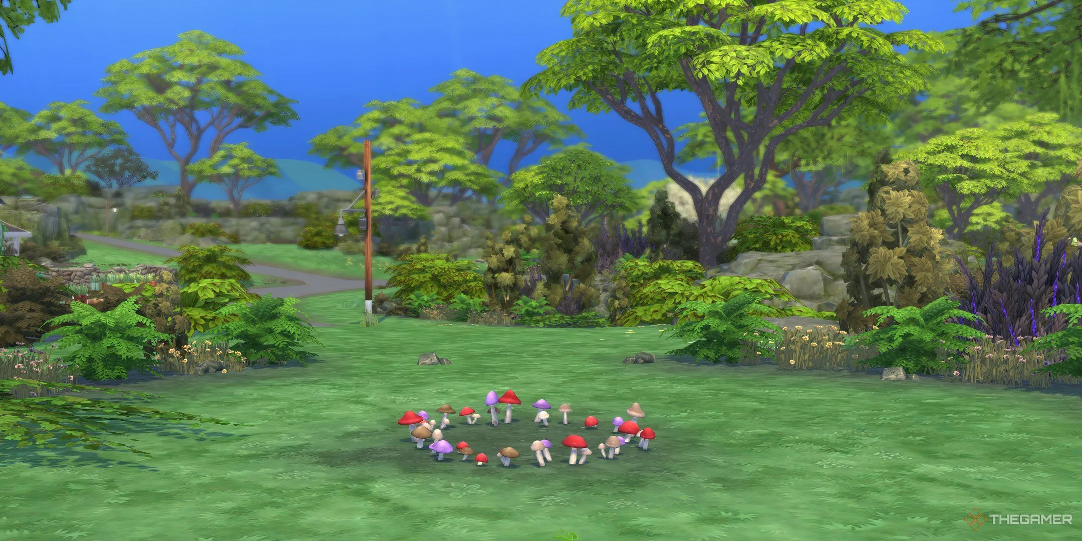 Vòng tròn nấm bí ẩn ở Rừng Sprucederry trong The Sims 4 Enchanted By Nature.