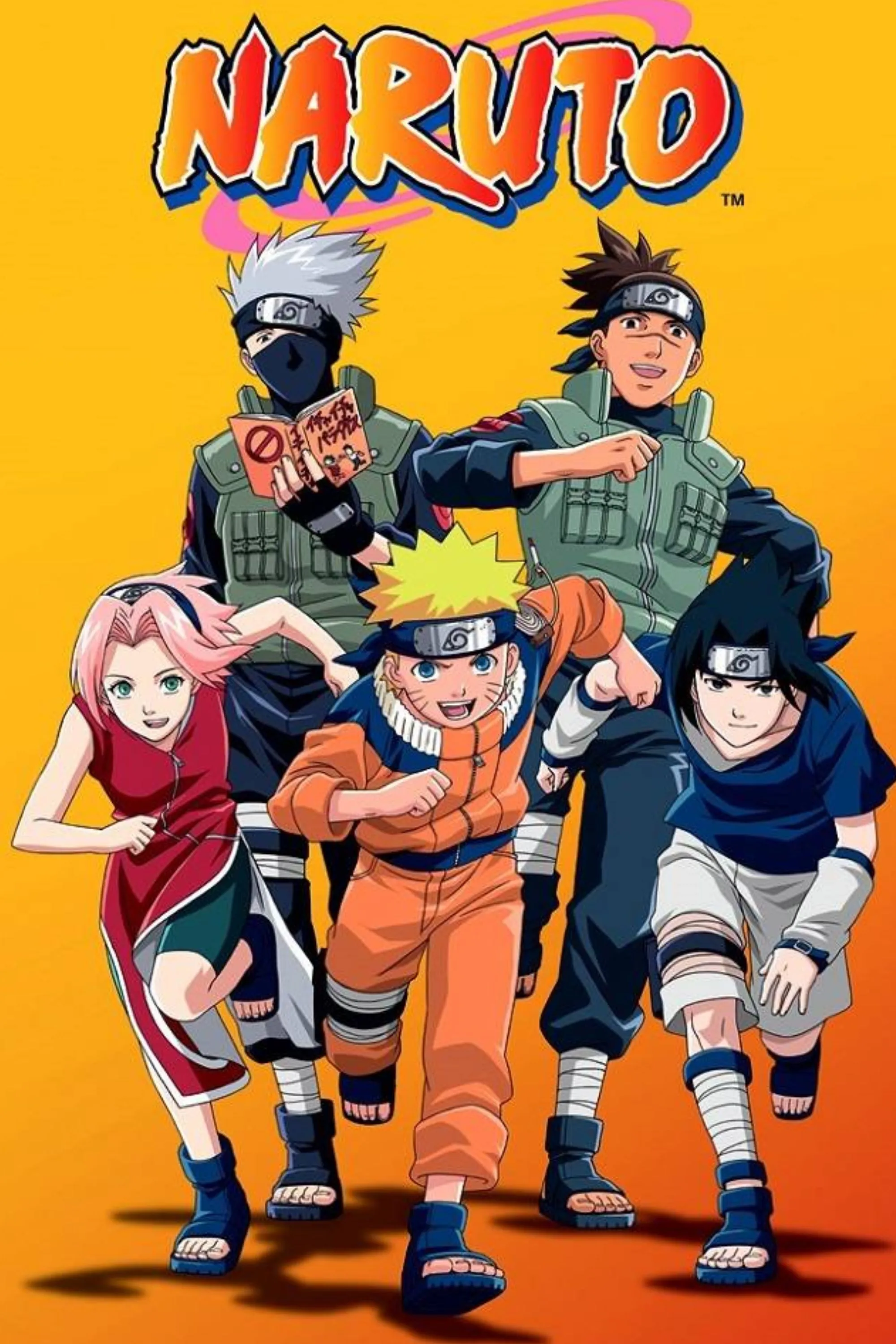 Bìa đĩa game Naruto, tổng quan về series