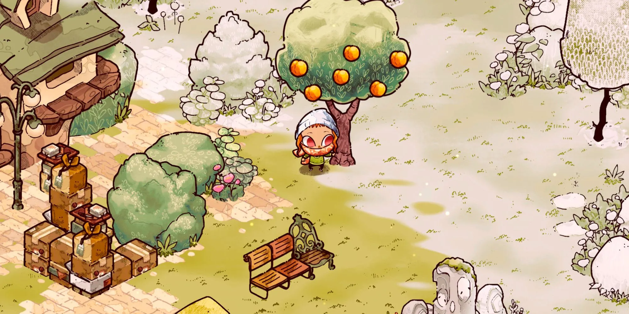 Khu công viên Cozy Grove với cây cam